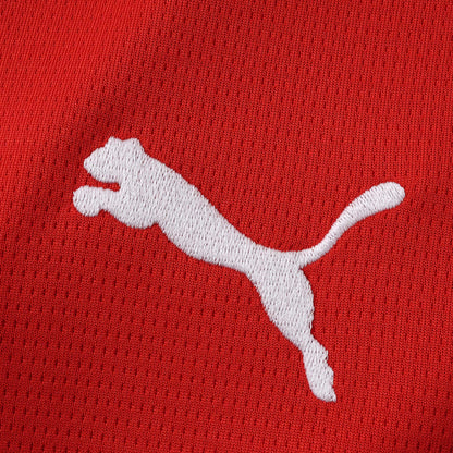 Camiseta Oficial Austria Mundial 2026 Local Fan Version